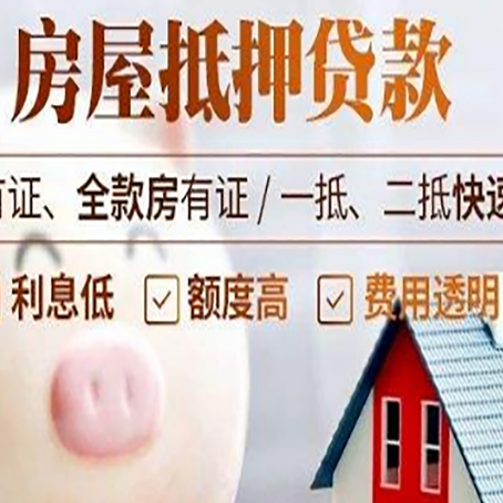 隆德贷款助贷公司新渝启服成立时间久